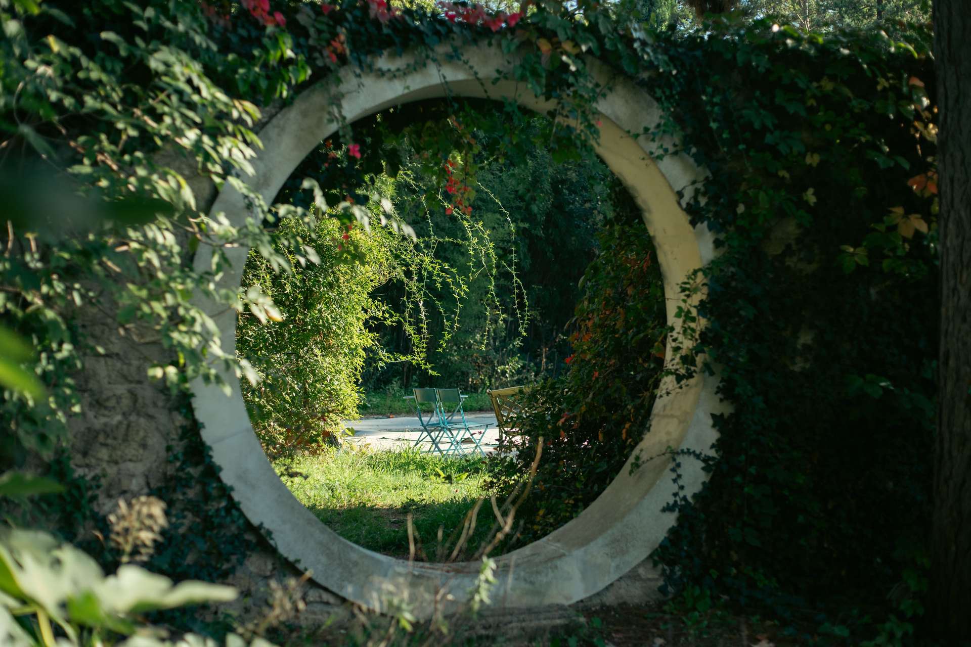Vegetation in the garden